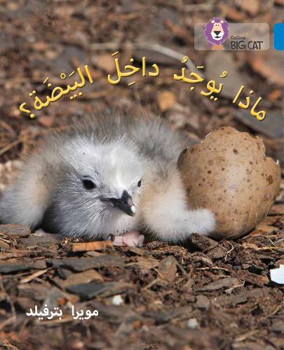 Паперова книга «What's in the Egg?: Level 4», автор Мойра Баттерфілд - фото №1