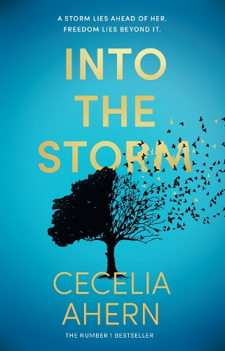 Паперова книга «Into the Storm», автор Сесілія Агерн - фото №1
