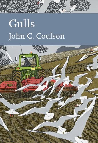 Паперова книга «Gulls», автор Джон К. Коулсон - фото №1