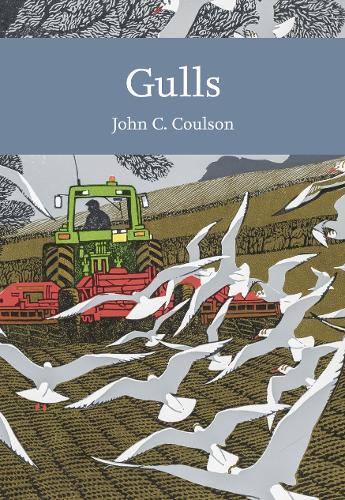 Паперова книга «Gulls», автор Джон К. Коулсон - фото №1
