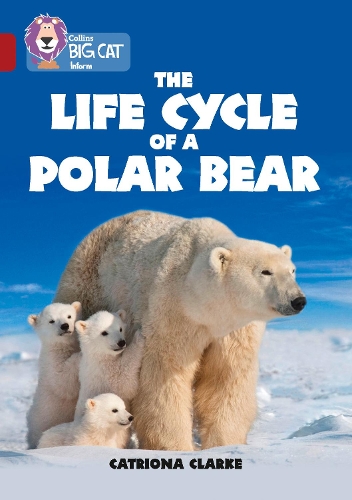 Паперова книга «The Life Cycle of a Polar Bear: Band 14/Ruby», автор Катріона Кларк - фото №1