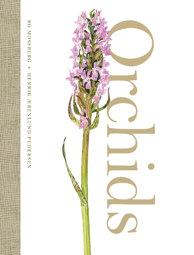 Бумажная книга «Orchids», авторов Бо Моссберг, Хенрик Аэренлунд Педерсен - фото №1