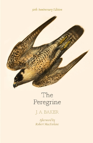 Бумажная книга «The Peregrine: 50th Anniversary Edition: Afterword by Robert Macfarlane», автор Дж. А. Бейкер - фото №1