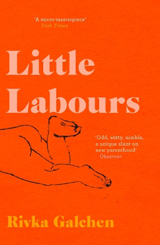 Бумажная книга «Little Labours», автор Ривка Гальхен - фото №1