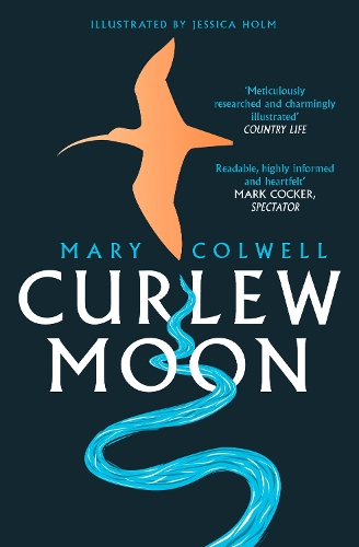 Паперова книга «Curlew Moon», автор Мері Колвелл - фото №1