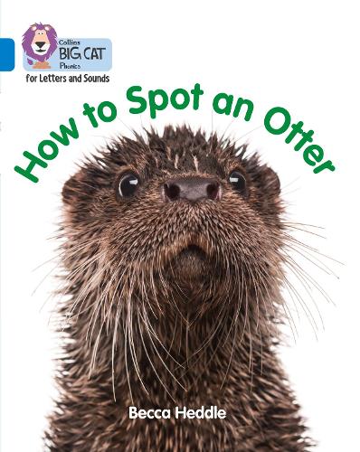 [object Object] «How to Spot an Otter: Band 04/Blue», автор Бекка Хеддл - фото №1