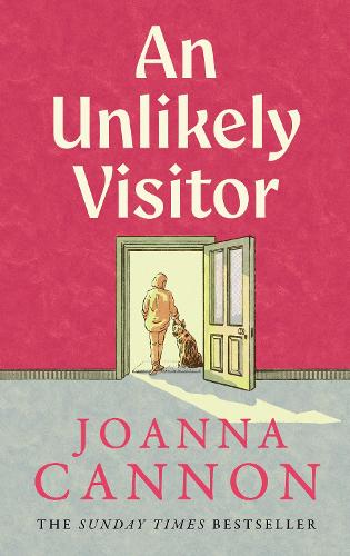 Паперова книга «An Unlikely Visitor», автор Джоанна Кеннон - фото №1