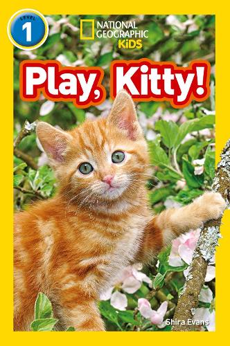 Бумажная книга «Play, Kitty!: Level 1», автор Шира Эванс - фото №1