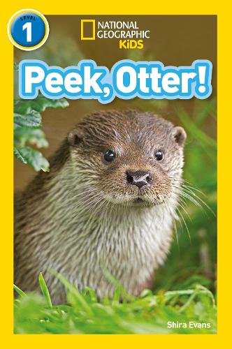Паперова книга «Peek, Otter!: Level 1», автор Шира Еванс - фото №1