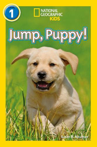 Паперова книга «Jump, Pup!: Level 1», автор Сюзан Б. Нойман - фото №1