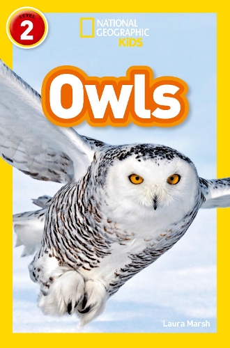 Паперова книга «Owls: Level 2», автор Лаура Марш - фото №1