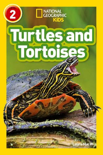 [object Object] «Turtles and Tortoises: Level 2», автор Лаура Марш - фото №1