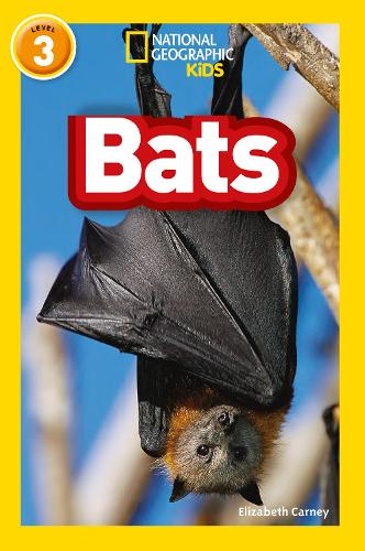 Бумажная книга «Bats: Level 3», автор Элизабет Карни - фото №1
