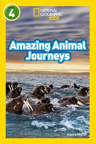 Паперова книга «Amazing Animal Journeys: Level 4», автор Лаура Марш - фото №1