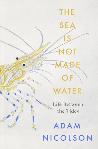 Бумажная книга «The Sea is Not Made of Water: Life Between the Tides», автор Адам Николсон - фото №1