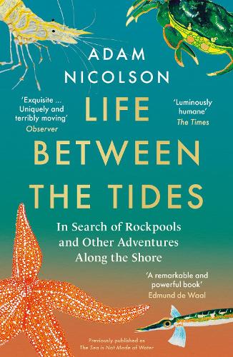 Бумажная книга «Life Between the Tides: In Search of Rockpools and Other Adventures Along the Shore», автор Адам Николсон - фото №1