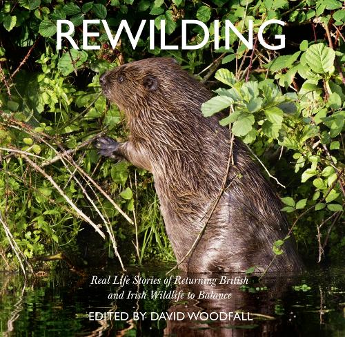 Паперова книга «Rewilding: Real Life Stories of Returning British and Irish Wildlife to Balance», автор Девід Вудфолл - фото №1