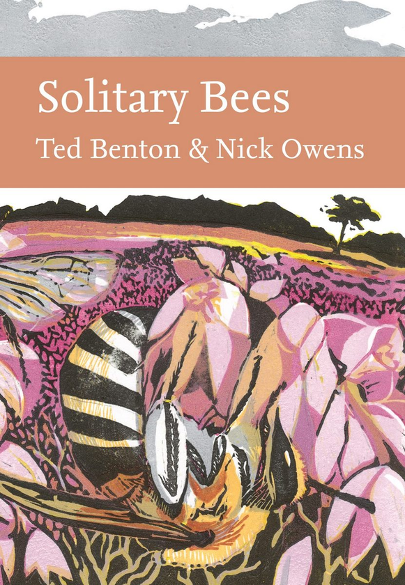 Бумажная книга «Solitary Bees», авторов Тед Бентон, Ник Оуэнс - фото №1