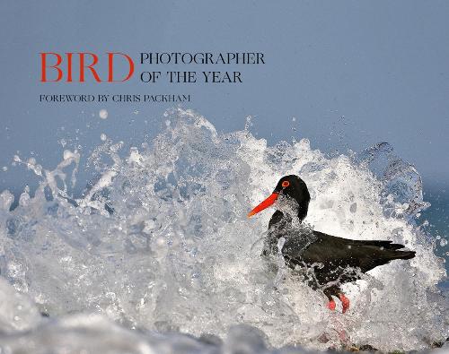 Бумажная книга «Bird Photographer of the Year: Collection 5», автор Птичий фотограф года - фото №1