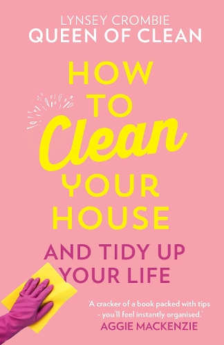 Паперова книга «How To Clean Your House», автор Лінсі, королева чистоти - фото №1