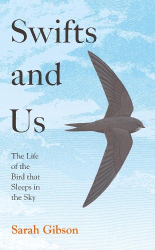 Паперова книга «Swifts and Us: The Life of the Bird That Sleeps in the Sky», автор Сара Гібсон - фото №1