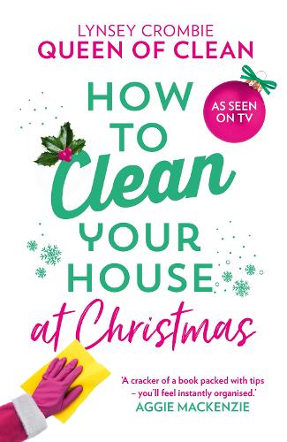 Паперова книга «How To Clean Your House at Christmas», автор Лінсі, королева чистоти - фото №1