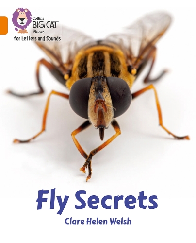 Бумажная книга «Fly Secrets: Band 06/Orange», автор Клэр Хелен Уэлш - фото №1