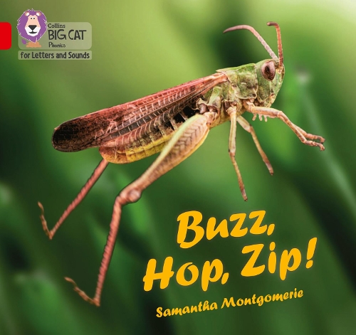 Бумажная книга «Buzz, Hop, Zip!: Band 02a/Red a», автор Саманта Монтгомери - фото №1