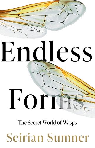 Бумажная книга «Endless Forms: The Secret World of Wasps», автор Сейриан Самнер - фото №1