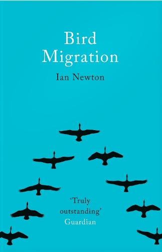 Паперова книга «Bird Migration», автор Ян Ньютон - фото №1