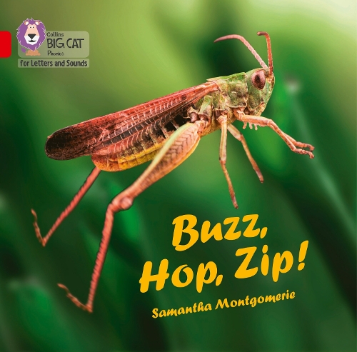 Бумажная книга «Buzz, Hop, Zip! Big Book: Band 02a/Red a», автор Саманта Монтгомери - фото №1