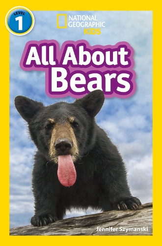 Паперова книга «All About Bears: Level 1», автор Дженніфер Шиманські - фото №1