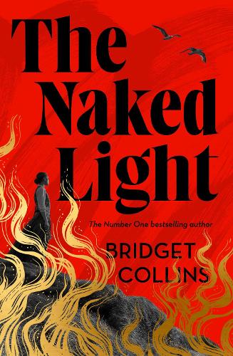 Паперова книга «The Naked Light», автор Бріджит Коллінз - фото №1