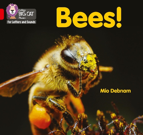 Паперова книга «Bees!: Band 02b/Red B», автор Міо Дебнам - фото №1