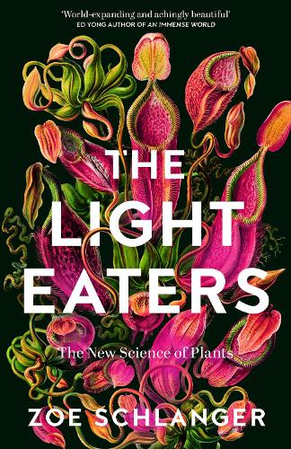 Бумажная книга «The Light Eaters: The New Science of Plant Intelligence», автор Зое Шлангер - фото №1