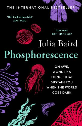 Паперова книга «Phosphorescence: On Awe, Wonder & Things That Sustain You When the World Goes Dark», автор Джулія Берд - фото №1