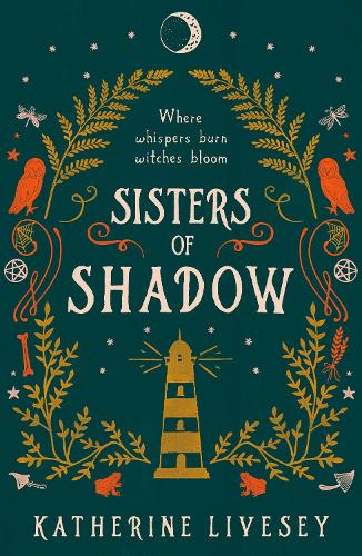 Паперова книга «Sisters of Shadow», автор Кетрін Лівсі - фото №1