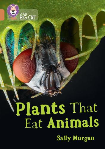Бумажная книга «Plants that Eat Animals: Band 12/Copper», автор Салли Морган - фото №1