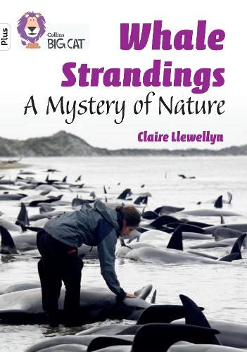 Паперова книга «Whale Strandings: A Mystery of Nature: Band 10+/White Plus», автор Клер Левеллін - фото №1
