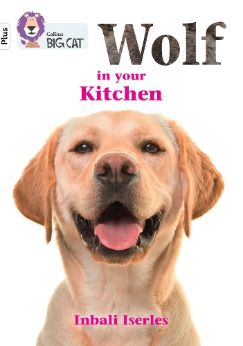 Бумажная книга «Wolf in your kitchen: Band 10+/White Plus», автор Инбали Изерлес - фото №1