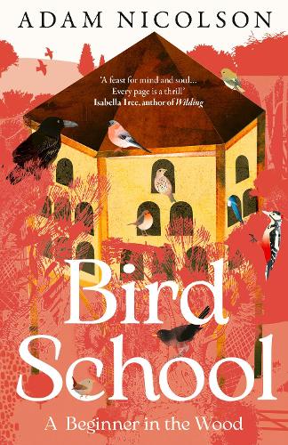 Бумажная книга «Bird School: A Beginner in the Wood», автор Адам Николсон - фото №1