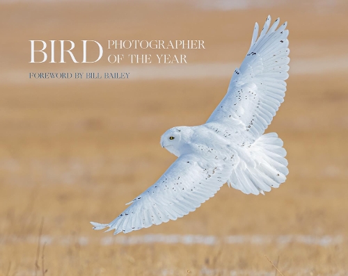 Бумажная книга «Bird Photographer of the Year: Collection 6», автор Птичий фотограф года - фото №1