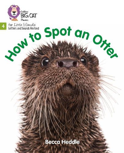 [object Object] «How to Spot an Otter: Phase 4 Set 2», автор Бекка Хеддл - фото №1