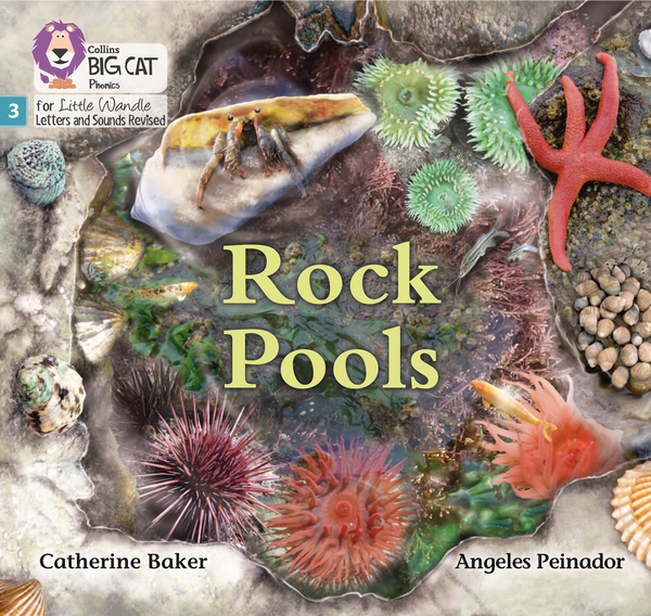 [object Object] «Rock Pools: Phase 3», автор Кетрін Бейкер - фото №1