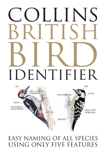 Бумажная книга «Collins British Bird Identifier: Easily Name All Species Using Only 5 Features with the 5 Id Method», авторов Джефф Бейкер, Пол Станклифф - фото №1