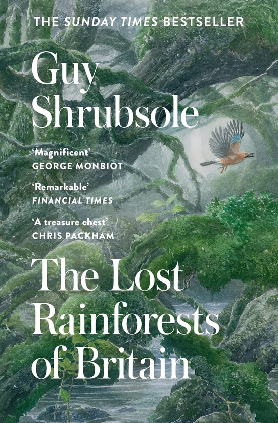 Бумажная книга «The Lost Rainforests of Britain», автор Гай Шрабсоул - фото №1