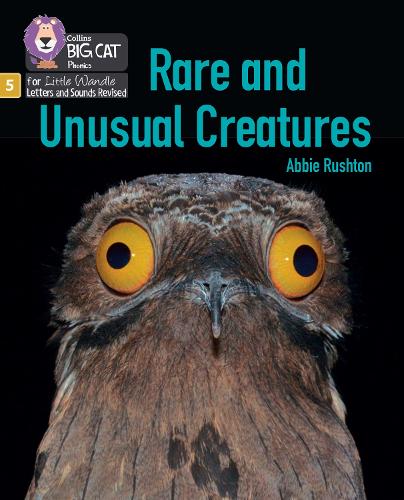 Паперова книга «Rare and Unusual Creatures: Phase 5 Set 5 Stretch and Challenge», автор Еббі Раштон - фото №1