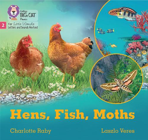 Паперова книга «Hens, Fish, Moths: Phase 2 Set 5 Blending Practice», автор Шарлотта Рейбі - фото №1