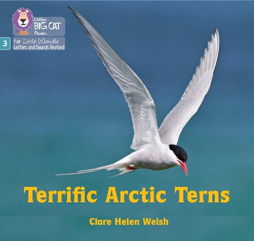 Бумажная книга «Terrific Arctic Terns: Phase 3 Set 2», автор Клэр Хелен Уэлш - фото №1