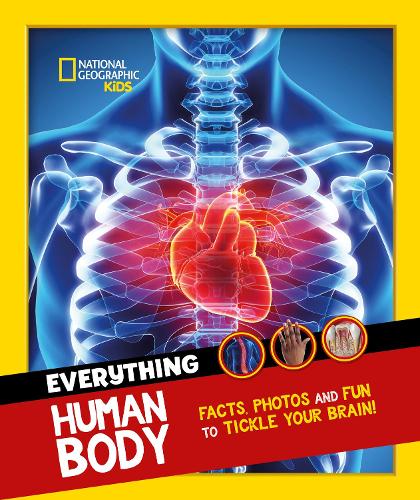 Бумажная книга «Everything: Human Body: Eye-Opening Facts and Photos to Tickle Your Brain!», автор National Geographic Kids - фото №1